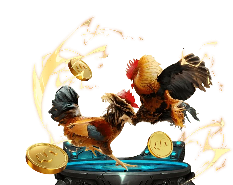 Hướng dẫn đăng nhập Q8BET